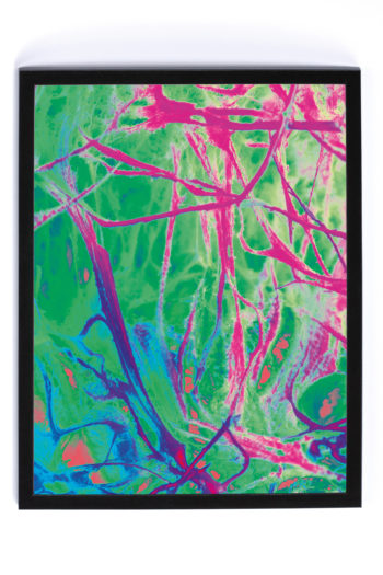 Branched interconnection Subject Fine Art print numbered mounted in a black wooden frame