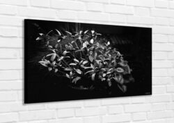 MODERN PAINTING Author's photo on furnishing canvas - Black $ white - Flowers on black